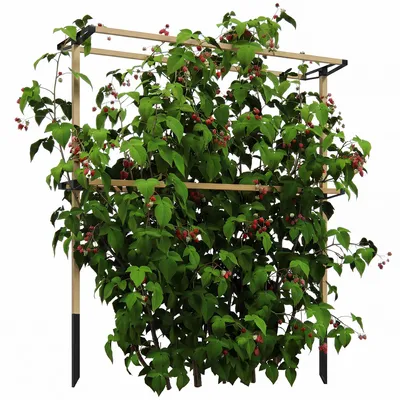 Produktbild von Outsunny Rankgitter aus Metall zum Stecken rostfrei Rankhilfe 119 x 34 x 139 cm