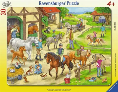 Image de A la ferme équestre