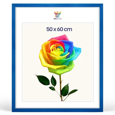 Produktbild von MG Design Bilderrahmen 50 x 60 cm - Posterrahmen mit Blau Holzrahmen (Echtholz) und bruchsicherem Acrylglas, Hoch & Quer mit stabiler Wandaufhängung
