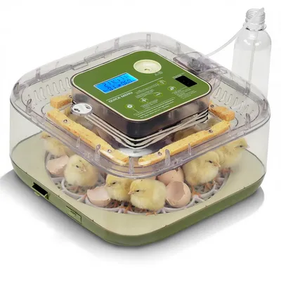 Produktbild von Vollautomatischer 12-Eier-Brutautomat mit automatischer Ei-Wendung, Temperatur- & Feuchtigkeitskontrolle, für Hühner, Enten, Gänse & Wachteln
