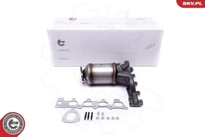 Image de ESEN SKV 62SKV014 Catalyseur cat