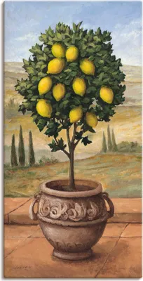 Produktbild von ARTland Leinwandbild Zitronenbaum Größe: 30x60 cm