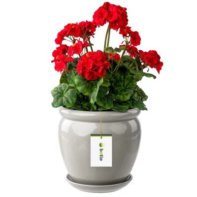 Image de Pot de fleur gris clair pot de fleur avec soucoupe rond DxH 280 mm x 305 mm surface brillante céramique glamour moderne
