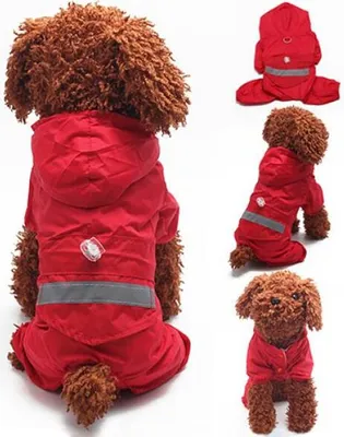 Produktbild von Wasserdichter Hunde-Hoodie, Kleidung, Acrylon-Regenmäntel, Jacken, Katzen-Welpen-Kostüm - M