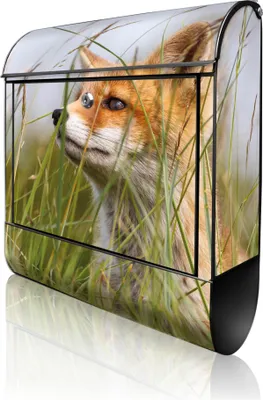 Produktbild von banjado Design Briefkasten Stahl schwarz mit Zeitungsfach pulverbeschichtet "Fuchs" 38x46x12,5cm & 2 Schlüssel - Postkasten A4 Einwurf inkl. Montagematerial [BKSCH 10328]