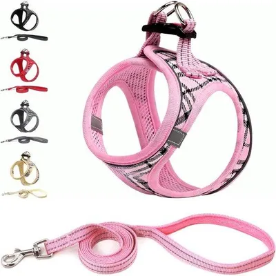 Produktbild von Famanu Hundegeschirr für kleine Hunde mit Leine - reflektierend, atmungsaktiv, bequem - (S - Rosa kariert)