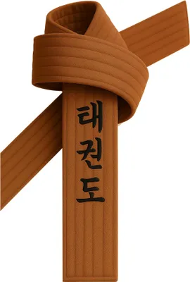 Produktbild von Taekwondo Gürtel Braun bestickt - TKD Schriftzeichen koreanisch - Braungurt mit Kanji Bestickung - 220 cm Länge