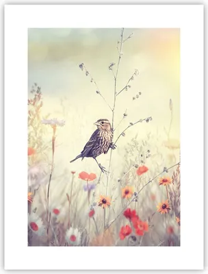 Produktbild von Poster - Poster ohne Rahmen - Vogel Wildschwein Wiese - 30x40 cm - Wand Bild - Wanddeko - Wandbilder - Kunstposter - Wandposter - Bilder - Kunstdruck - Wanddekoration - Wandbild - P2XPA30x40-4279
