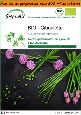 Image de SAFLAX Garden in the bag -- Ciboulette - 250 graines - Allium