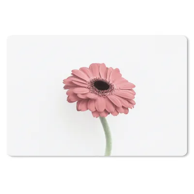 Produktbild von MuchoWow® Schreibtischunterlage Blumen - Rosa - Natur - Weiß - Pflanze 60x40 cm - XXL Mauspad - Großes Mauspad