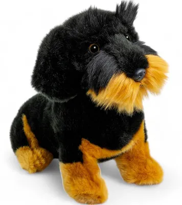 Image de Teckel, Teckel à poil dur assis noir env. 30cm von Carl Dick 3443 Doudou, peluche, animal en peluche