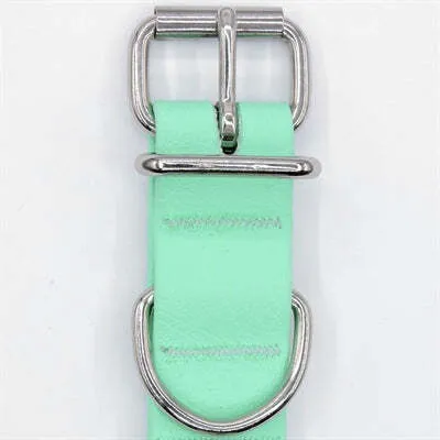 Imagen del producto de Collar para perros Morso, impermeable, fabricado con materiales reciclados, color verde caribeño