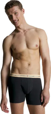 Produktbild von Boxershorts Tommy Hilfiger UM0UM027650TL für Herren