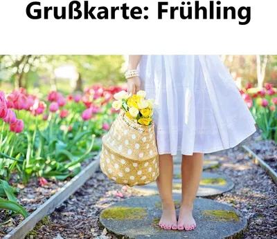Produktbild von Blumenstrauß - langstielige weiße Rose (50 cm) in rotem Herz) - Blumenversand zum Wunschtermin