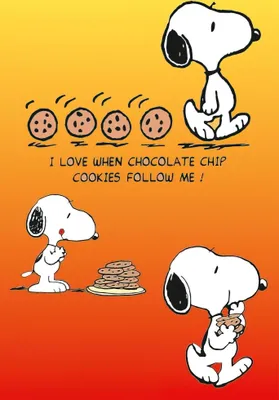 Produktbild von Peanuts Poster Cookies + Geschenkverpackung. Verschenkfertig!