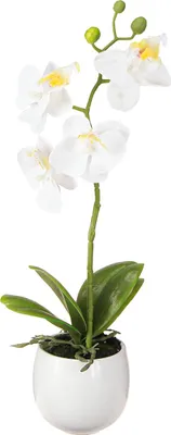 Produktbild von Weiße Kunst-Orchidee im Topf Phalaenopsis Deko 33cm