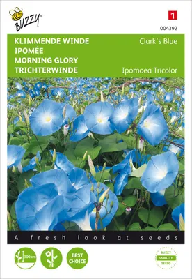 Image de Ipomoée bleu ciel | Graines d'ipomoée de Buzzy Seeds