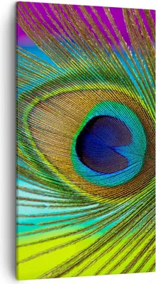 Produktbild von Bild auf Leinwand - Leinwandbild - Einteilig - Pfauen Federn Regenbogen - 45x80cm - Wand Bild - Wanddeko - Wandbilder - Leinwanddruck - Bilder - Wanddekoration - Leinwand bilder - PA45x80-4385