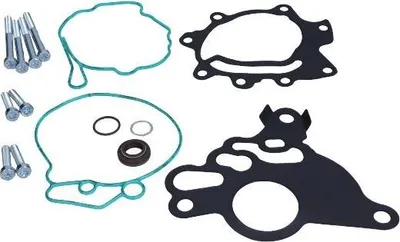 Zdjęcie produktu dla Zestaw Naprawczy Pompy Próżniowej Vw 2,0Tdi 03-