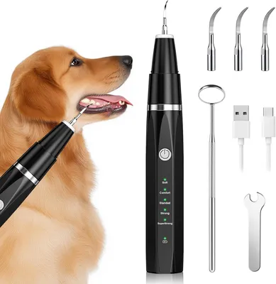 A dog's head is shown on the left, with a dental cleaning tool being used on its teeth. On the right, the dental cleaning tool and its accessories are displayed.