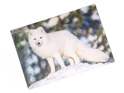 Produktbild von 3 D Ansichtskarte Polarfuchs, Postkarte Wackelkarte Hologrammkarte Tiere Polarfüchse