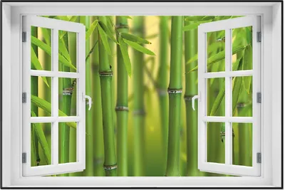 Produktbild von Wallario Wandbild mit Fenster-Illusion: Grüner Bambuswald, Größe: 61 x 91,5 cm, Poster mit schwarzem Aluminiumrahmen