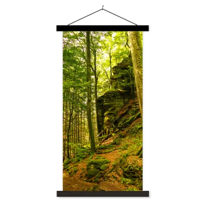 Produktbild von MuchoWow® Textilposter Bäume - Stein - Wald - Natur - Pflanzen 60x120 cm mit schwarzem Rahmen - Magnete