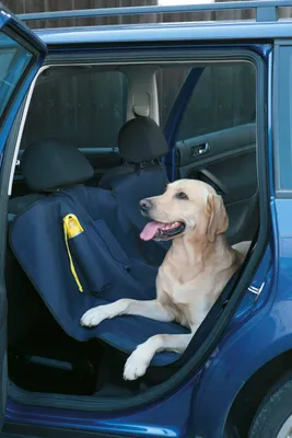 Produktbild von Kerbl Autoschondecke inkl. Reisetrinkflasche Hundedecke, Schutzdecke