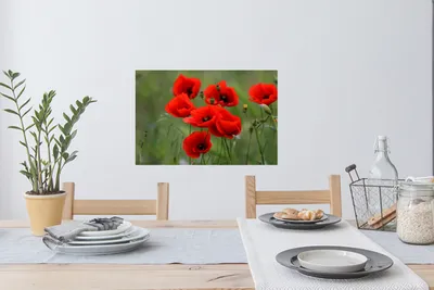 Produktbild von MuchoWow® - Wierderverwendbar - Selbstklebend