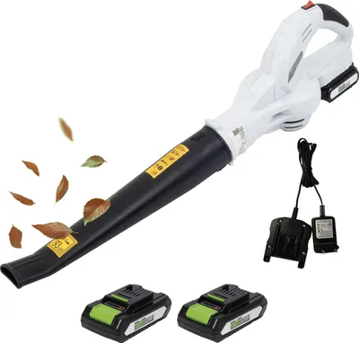 Produktbild von Akku-Laubbläser 20V mit 2000mAh 240km/h mit 2 Akkus & Ladegerät