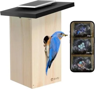 Image de Birdfy House Ebony Lite, 1080P, AI, solaire, application, IP66