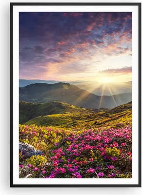 Produktbild von Gerahmtes Poster - Schwarzer Rahmen - Gebirge Wiese Landschaft Wald - 70x100 cm - Wand Bild - Wanddeko - Wandbilder - Wandposter - Bilderrahmen - Bilder - Kunstdruck - Wandbild - P2BPA70x100-3152