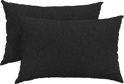 Image de vidaXL Coussin de canapé 2 pcs Noir 60 x 40 cm Tissu