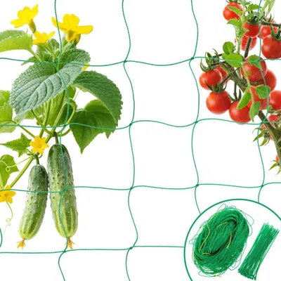 Produktbild von Pflanzenstütznetz 1,8×1,8 m, mit 50 grünen Kabelbindern, Ranknetz für Gemüse