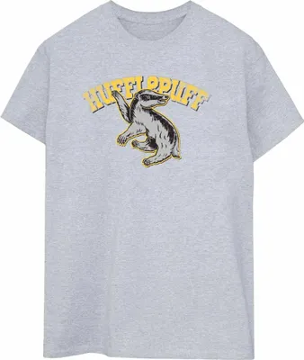 Produktbild von Harry Potter - T-Shirt für Herren BI1218 (XL) (Grau)
