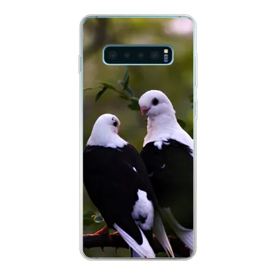 Produktbild von MuchoWow® Handyhülle Schutzhülle Hülle für Samsung Galaxy S10 Plus Vögel - Zweig - Blätter Silikon Softcase Handy Hülle - Schutzhülle