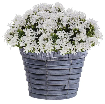 Produktbild von Bellatio flowers & plants Blumentopf - Rattankorb - grau - 16 cm