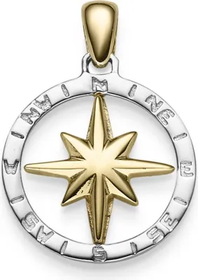 Produktbild von Anhänger Windrose Kompass 24x18mm aus 585 Gold Gelbgold Weißgold glänzend