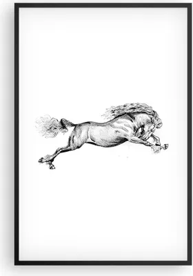 Produktbild von Gerahmtes Poster - Schwarzer Rahmen - Pferd Zeichnung Bleistift - 61x91,5 cm - Wand Bild - Wanddeko - Wandbilder - Kunstposter - Wandposter - Bilderrahmen - Bilder - Kunstdruck - P2BPA61x91-4906