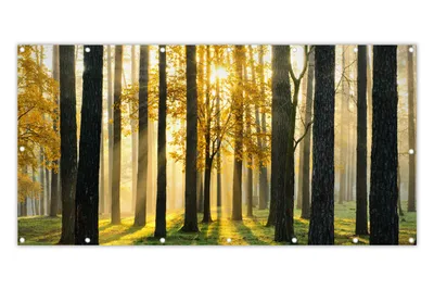 Obrázek produktu pro MuchoWow® Balkonová zástěna na ochranu soukromí -  - 90x200 cm
