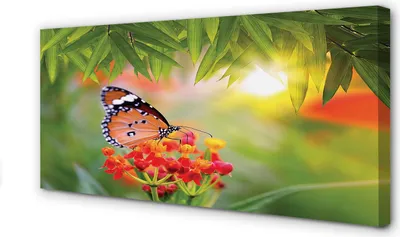 Produktbild von Leinwandbild 100x50 Wandkunst Bunte Schmetterlinge Blumen