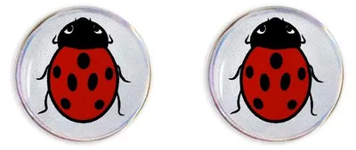 Immagine prodotto di 3D Adesivo Coccinella 12 mm