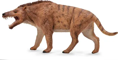 Produktbild von Collecta Andrewsarchus Spielfigur - 1:20 Maßstab Dinosaurier Modell