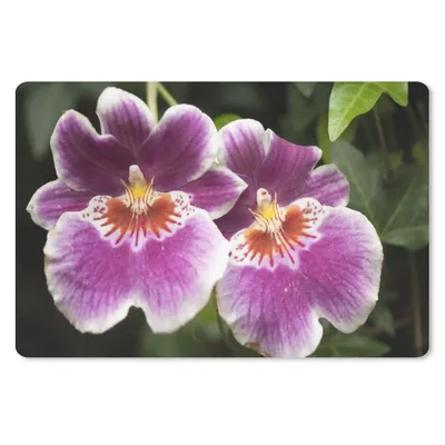 Produktbild von MuchoWow® Schreibtischunterlage Wilde Orchidee 60x40 cm - XXL Mauspad - Großes Mauspad