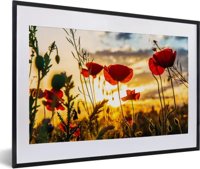 Produktbild von MuchoWow® Gerahmtes Poster Rote Mohnblumen bei Sonnenaufgang 60x40 cm - Poster mit Schwarzem Bilderrahmen Wandposter Rahmen Foto Bilder - Schlafzimmer - Plakat in Rahmen - Drucken