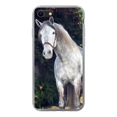 Produktbild von MuchoWow® Handyhülle Schutzhülle Hülle für iPhone 7 Pferd - Halfter - Natur Silikon Softcase Handy Hülle - Kartenhalter