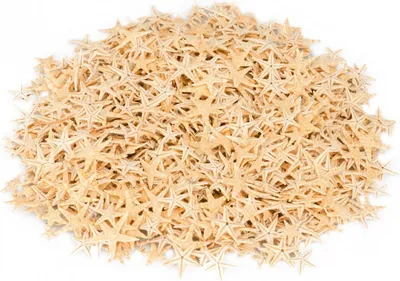 Produktbild von Sugar Seesterne ca. 2-3cm, 100 Stück
