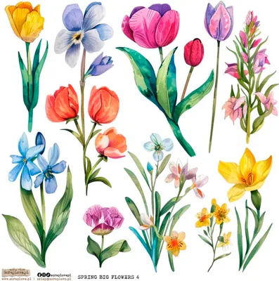 Produktbild von AUFKLEBER ScrapLove Dekor Stickers - Spring Big Flowers 4