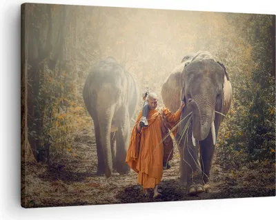 Produktbild von Bild auf Leinwand - Leinwandbild - Elefant Mönch Dschungel - 70x50cm - Wand Bild - Wanddeko - Leinwanddruck - Bilder - Kunstdruck - Wanddekoration - Leinwand bilder - Wandkunst - AA70x50-3453