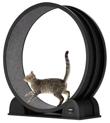 Immagine prodotto di Tapis roulant per gatti da interno – Ruota silenziosa per l'allenamento dei gatti, con contapassi e realizzata in materiale ABS